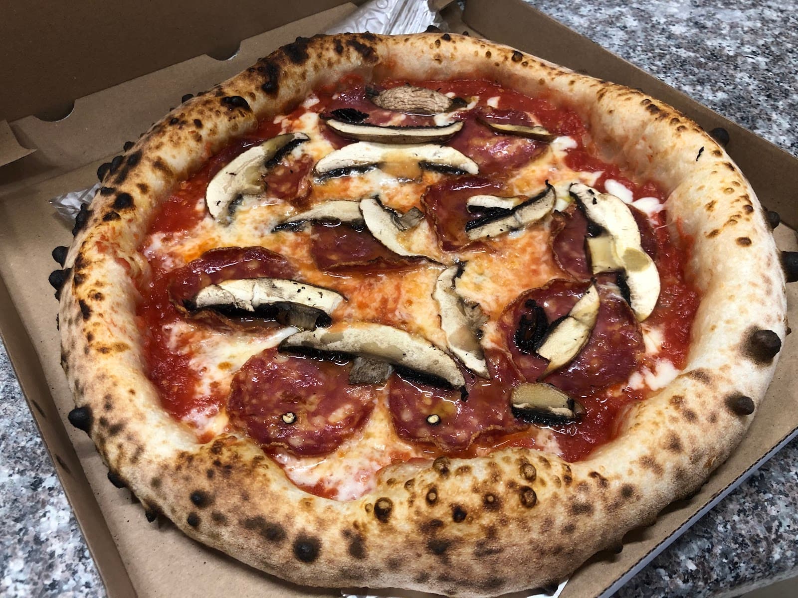 500 stopni Wojciechowska