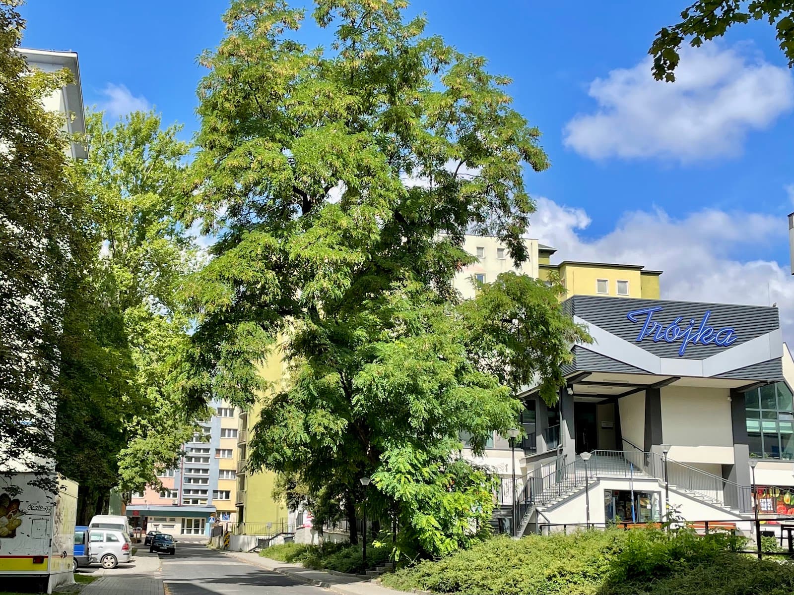 Dieta Od Kuchni Daniel Trojnar