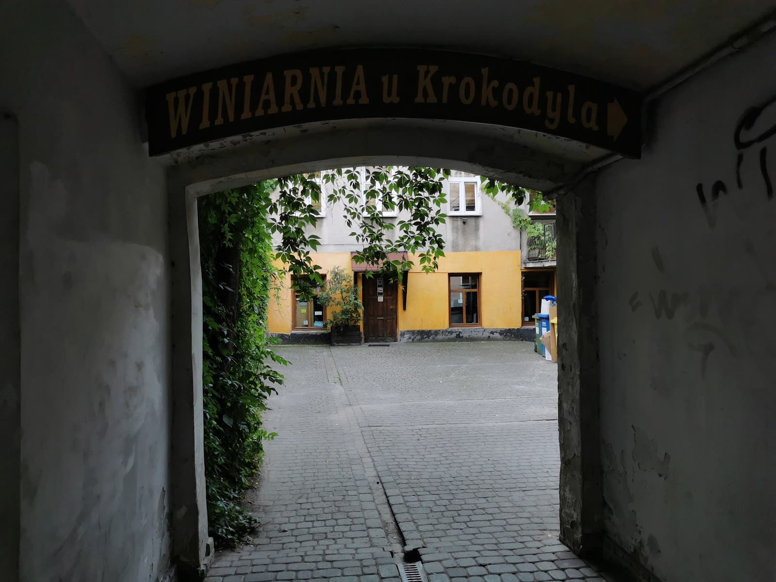 Winiarnia u Krokodyla